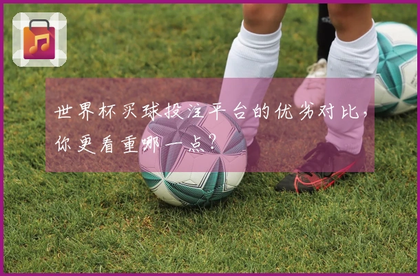 世界杯买球投注平台的优劣对比，你更看重哪一点？
