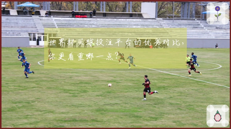 世界杯买球投注平台的优劣对比，你更看重哪一点？