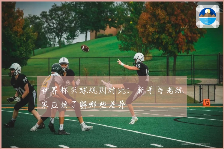世界杯买球规则对比：新手与老玩家应该了解哪些差异