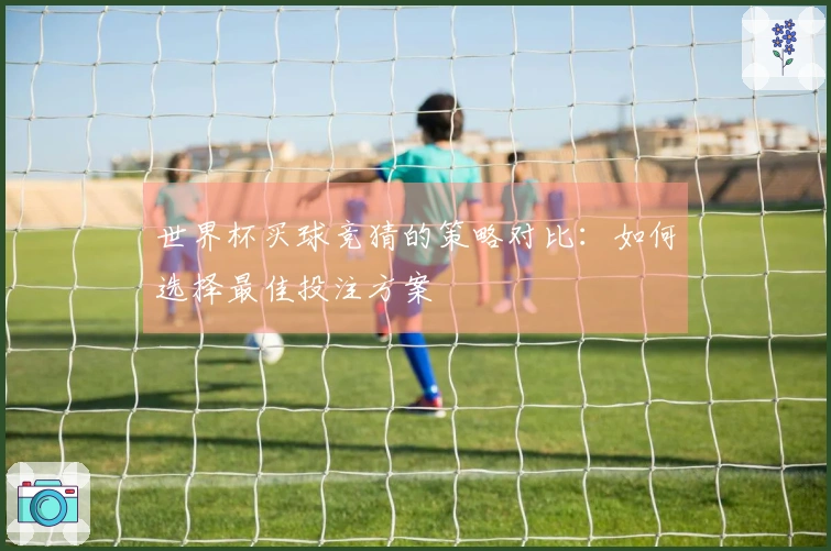 世界杯买球竞猜的策略对比：如何选择最佳投注方案
