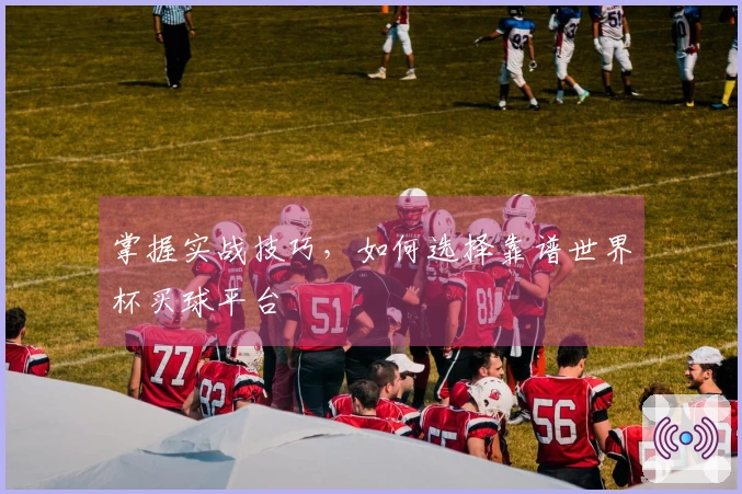 掌握实战技巧，如何选择靠谱世界杯买球平台