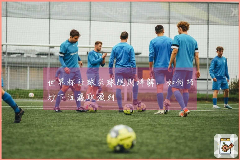 世界杯让球买球规则详解，如何巧妙下注赢取盈利